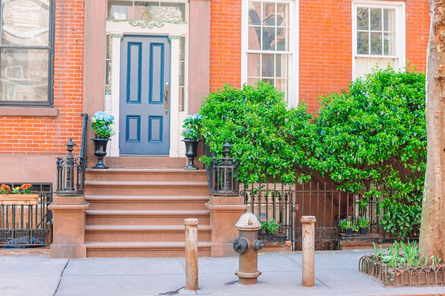 The front of the house is painted orange, with green leaves and flowers on both sides near the main door.